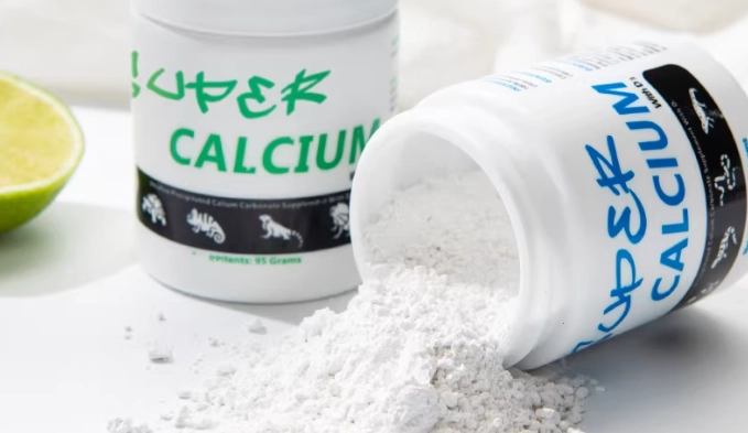 睫角守宮鈣粉終極指南：挑選、使用與常見錯誤解析