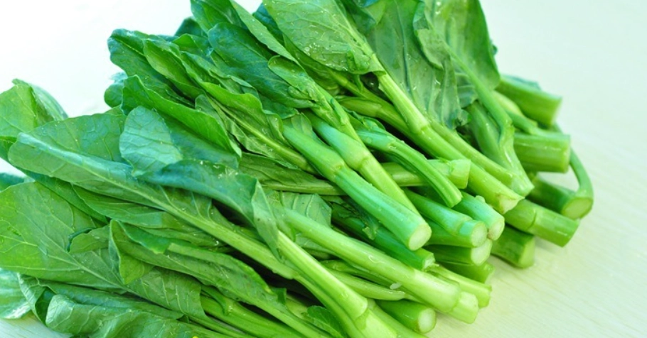 陸龜喜歡吃什麼？完整飲食指南與餵食技巧