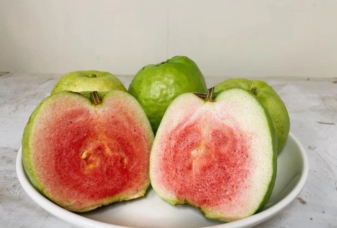 芭樂營養成分表