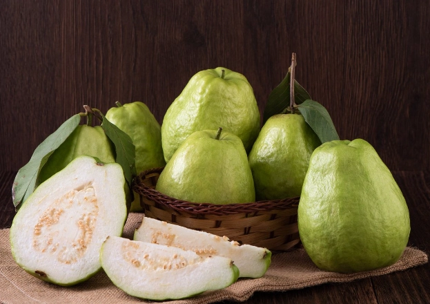 芭樂籽消化問題