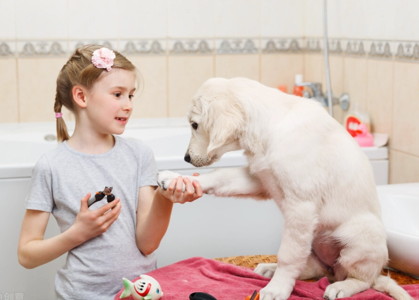 狗狗洗澡注意事項