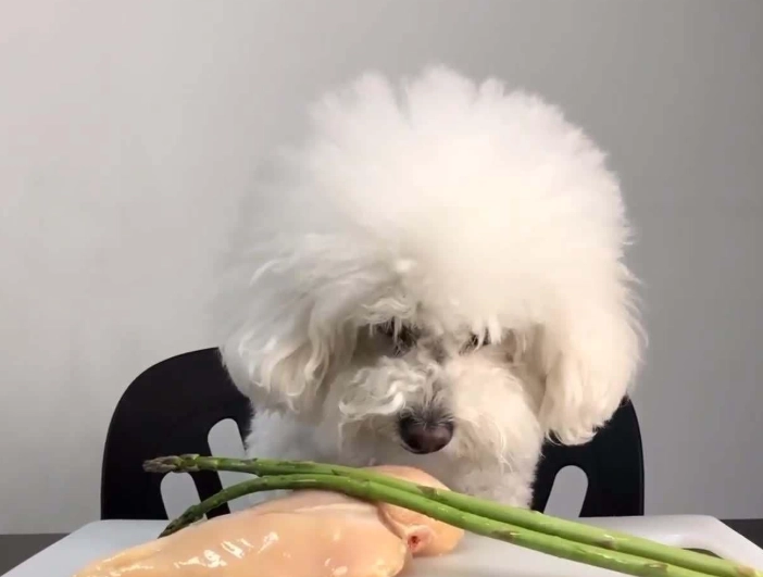 芥菜對狗有害嗎