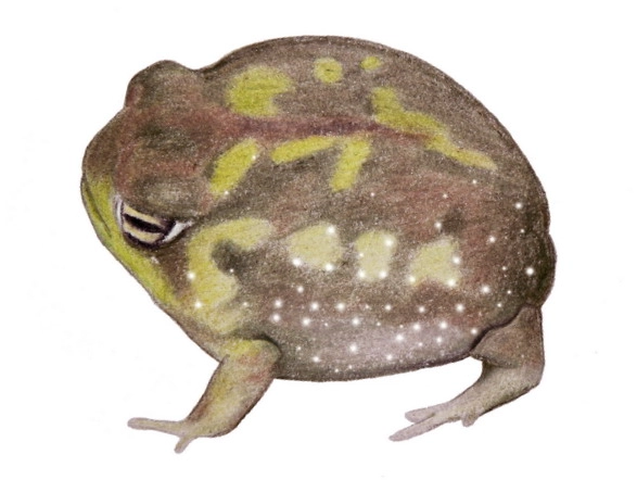 赤峰街散步路線