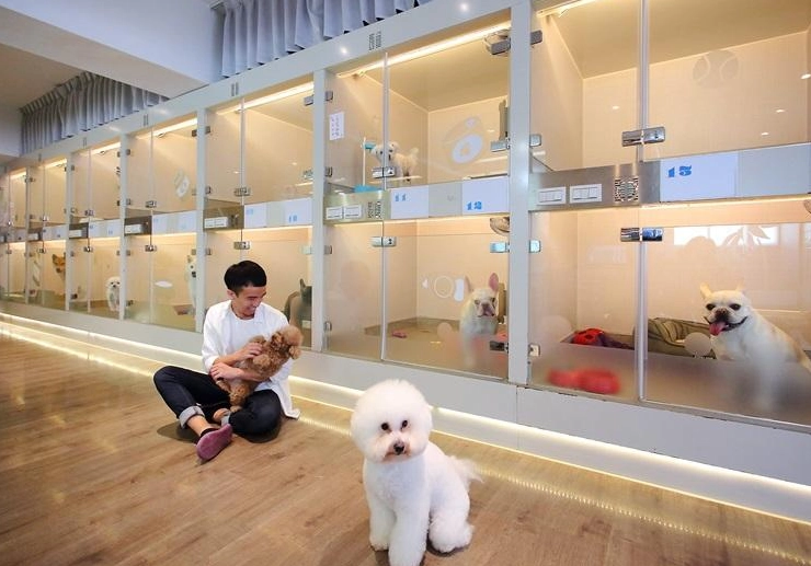 寵物安親班 寵物安親班