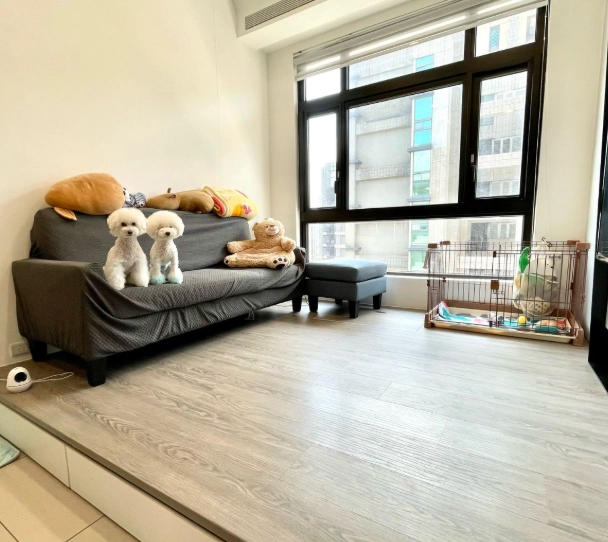 寵物旅館評價 寵物旅館評價