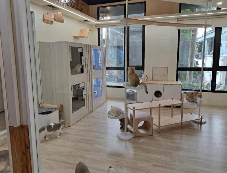 寵物住宿 寵物住宿