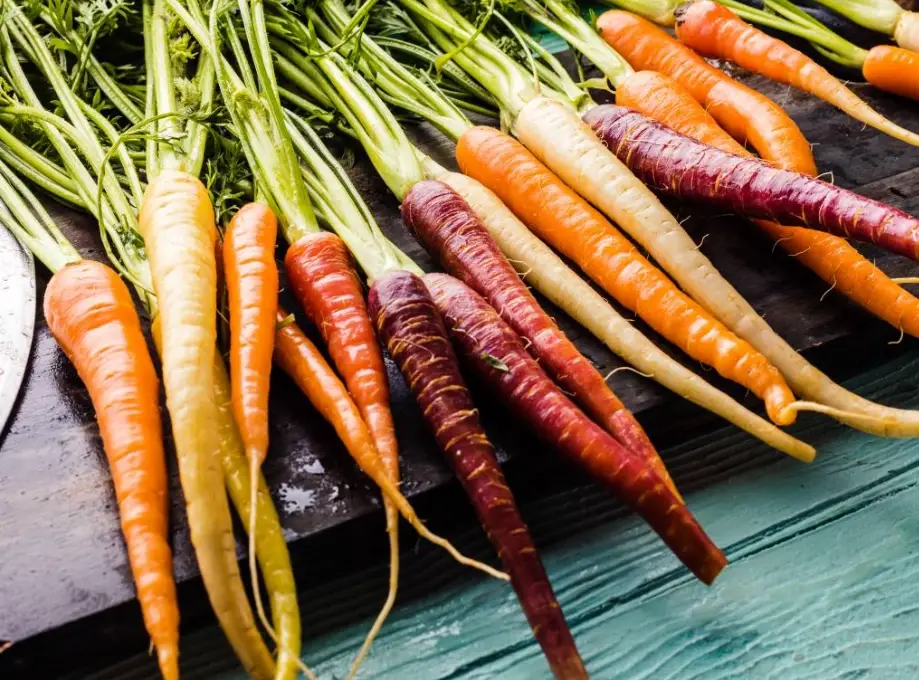 紅蘿蔔怎麼吃