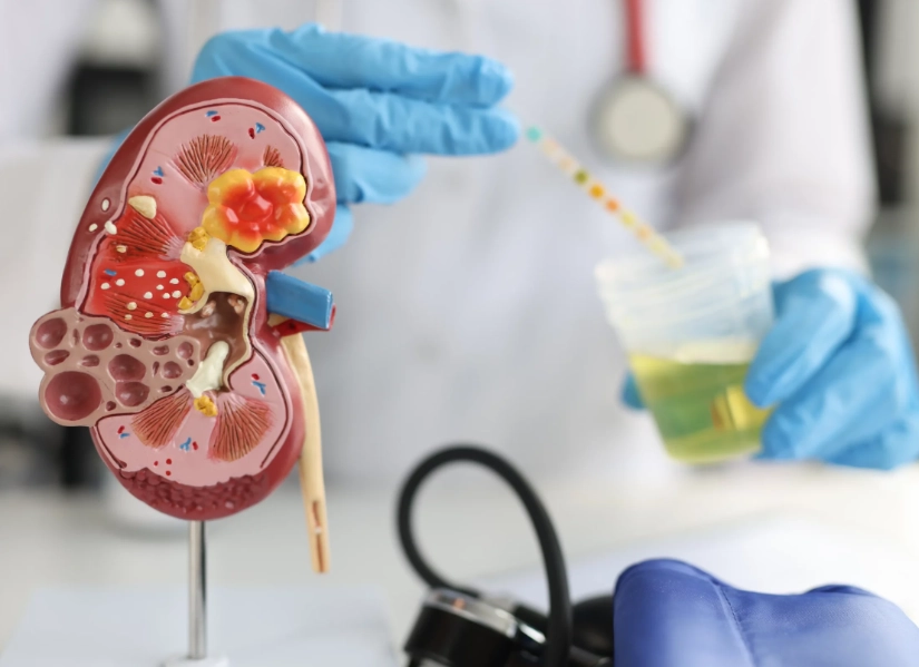 腎功能指數 正常值