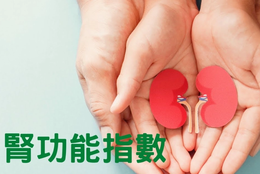 腎臟指數 洗腎標準