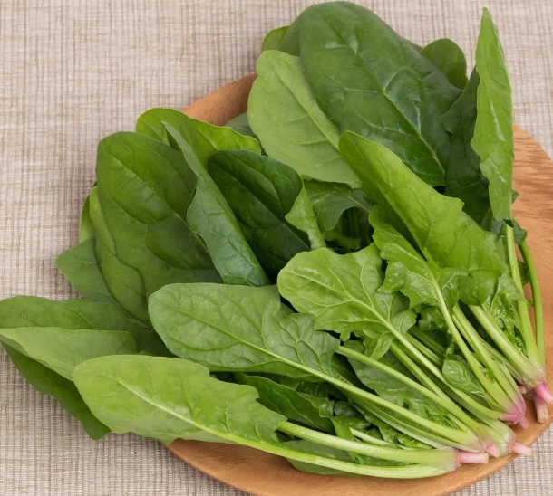 菠菜營養 菠菜營養