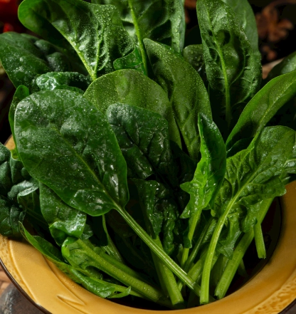 低卡蔬菜 低卡蔬菜