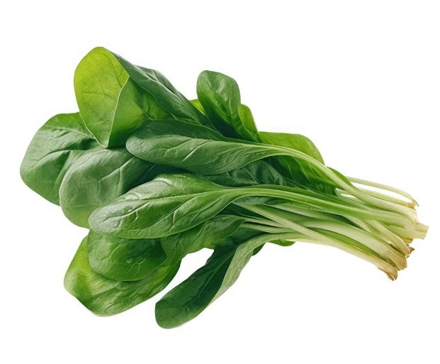 菠菜營養 菠菜營養