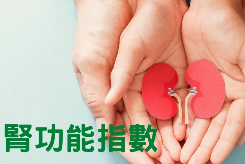 腎功能指數正常值是多少？看懂報告、追蹤健康的關鍵指南