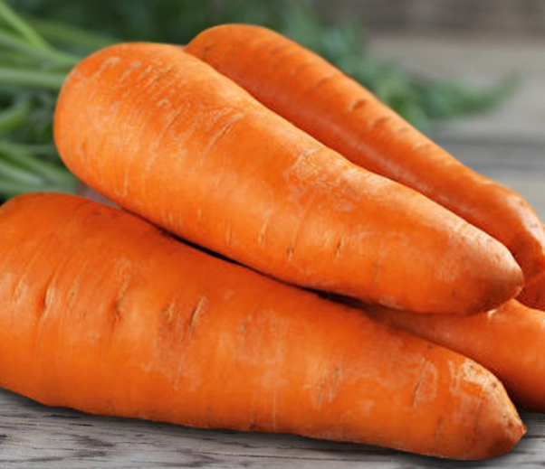 紅蘿蔔 碳水 紅蘿蔔 碳水