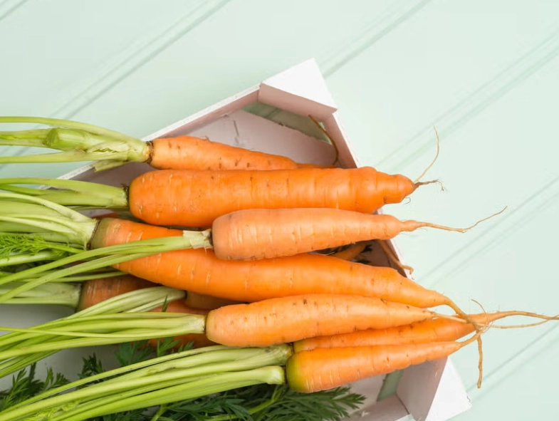 紅蘿蔔好處與壞處