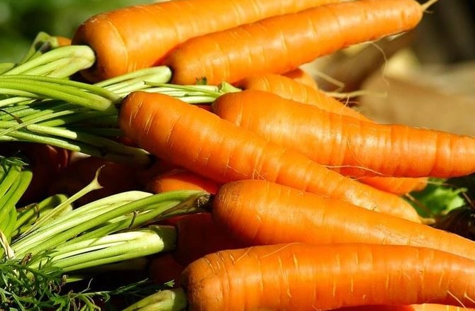 紅蘿蔔好處與壞處