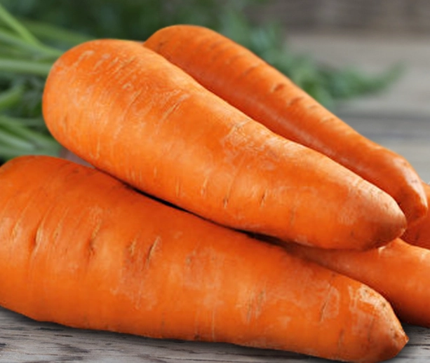 紅蘿蔔好處與壞處