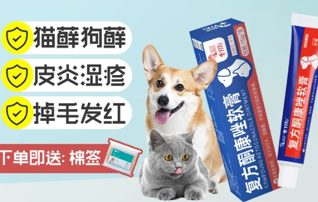 貓癬治療