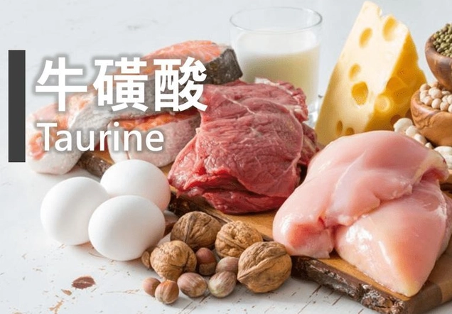 牛磺酸是素食嗎？深入解析來源、爭議與素食者補充指南
