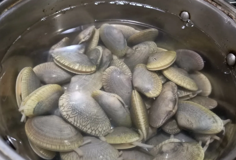 海瓜子吐沙要多久