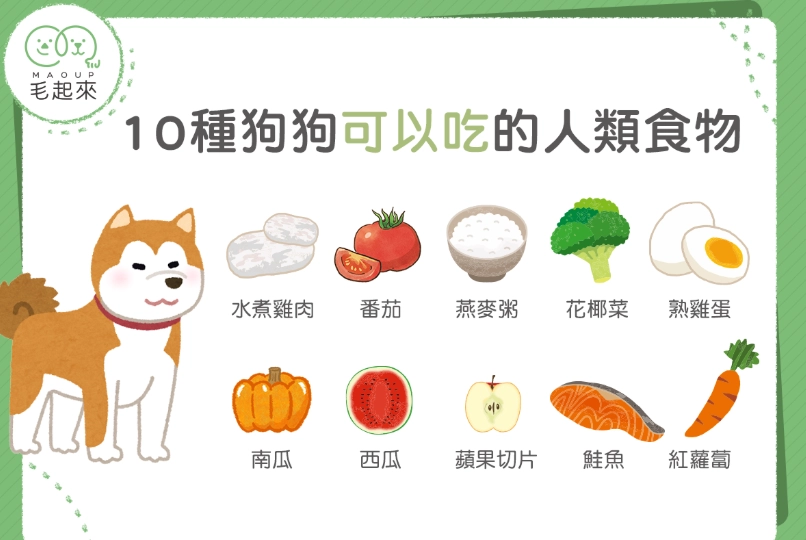 狗吃蝦 狗吃蝦