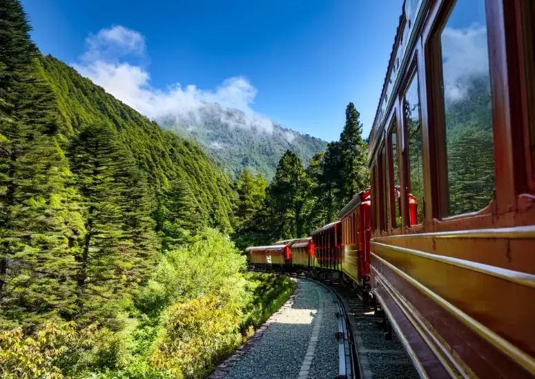 阿里山開車好開嗎：台18線路況、濃霧與管制時段的真實心得