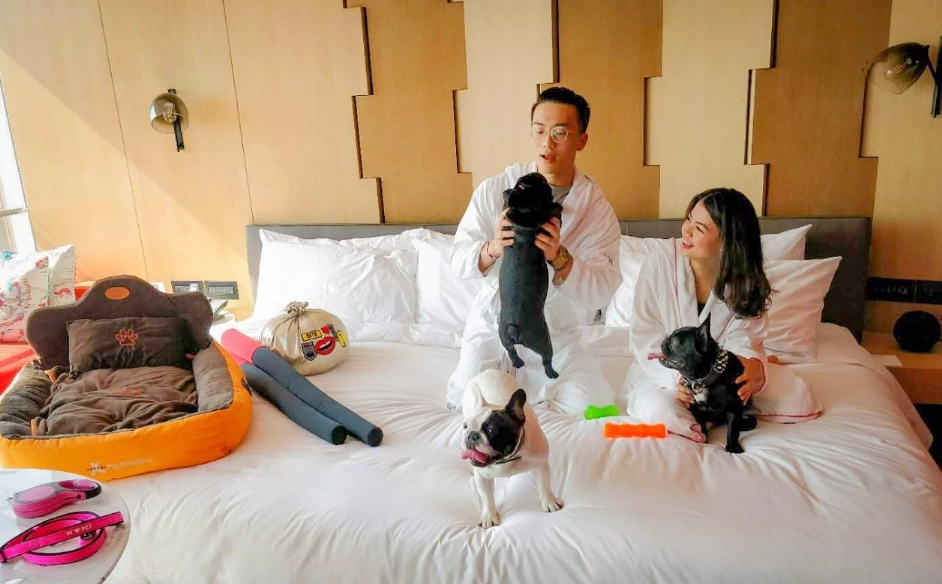 寵物酒店怎麼選？台灣飼主必看寄養費用、試住與入住檢查清單