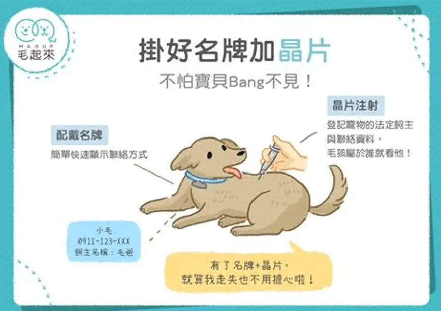 狗晶片查詢怎麼查？獸醫院實測：掃不到晶片的3個真實原因
