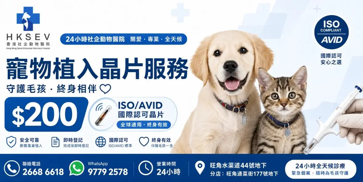 寵物晶片號碼查詢 寵物晶片號碼查詢