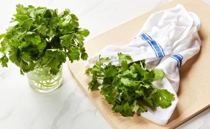 香菜料理