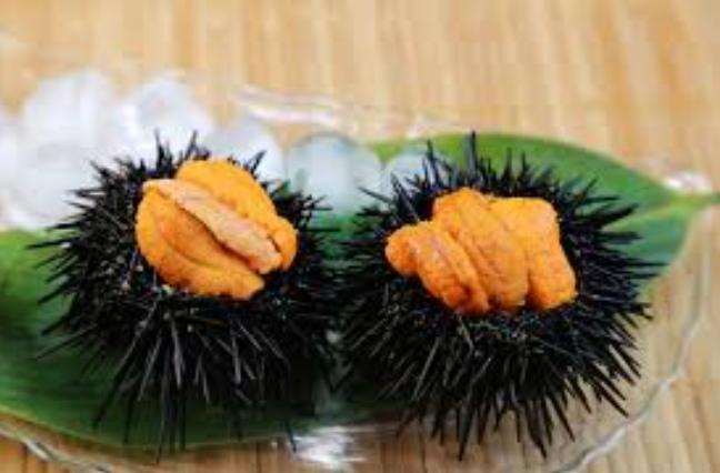 海膽料理