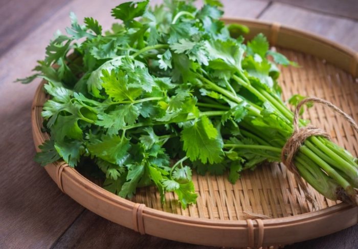 香菜料理