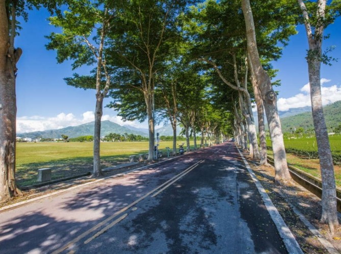 鹿野火車站景點