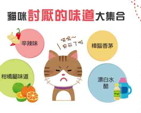 貓咪厭惡氣味