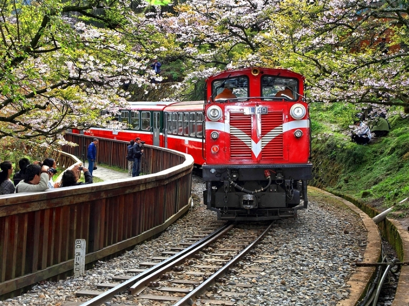 阿里山行程規劃