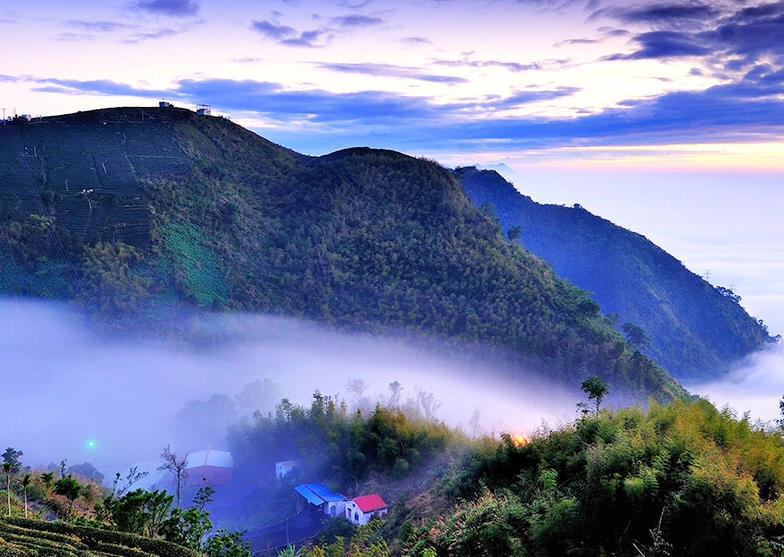 阿里山行程規劃