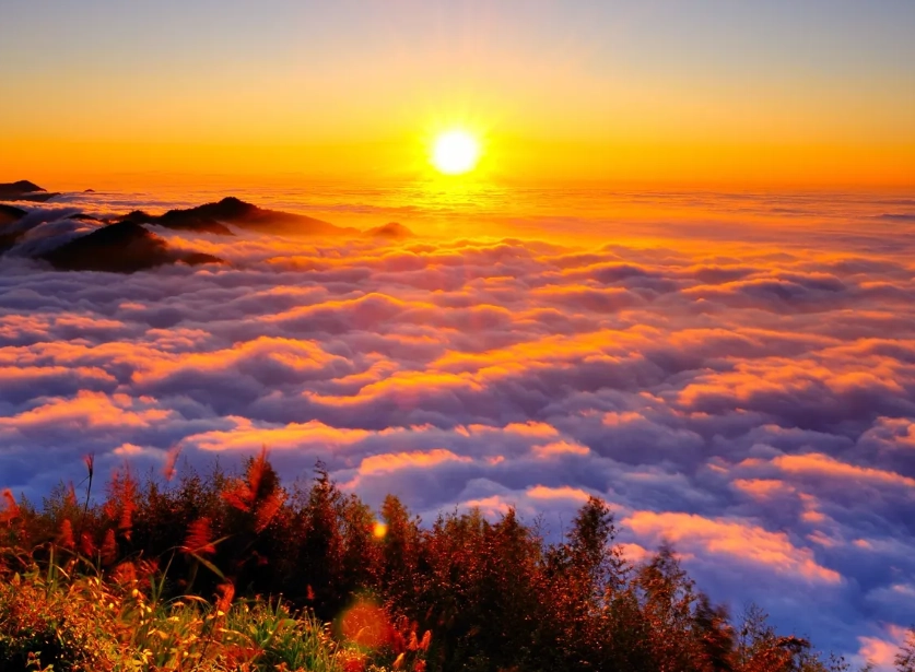 阿里山行程規劃