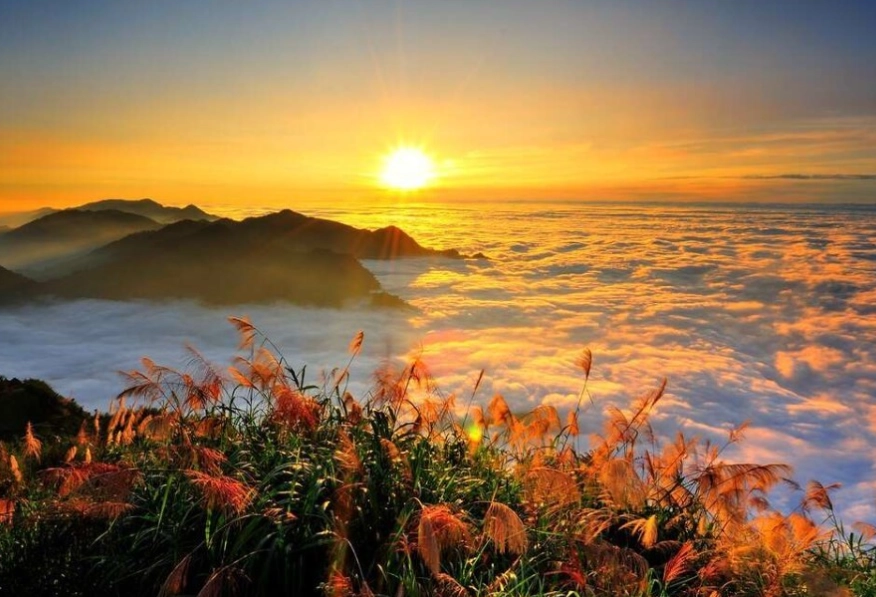 阿里山旅遊攻略