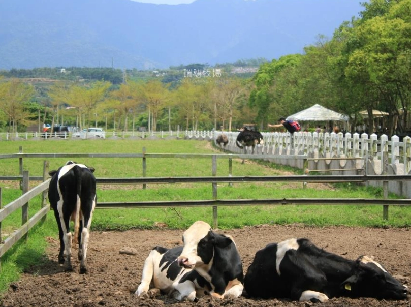 花蓮牧場美食