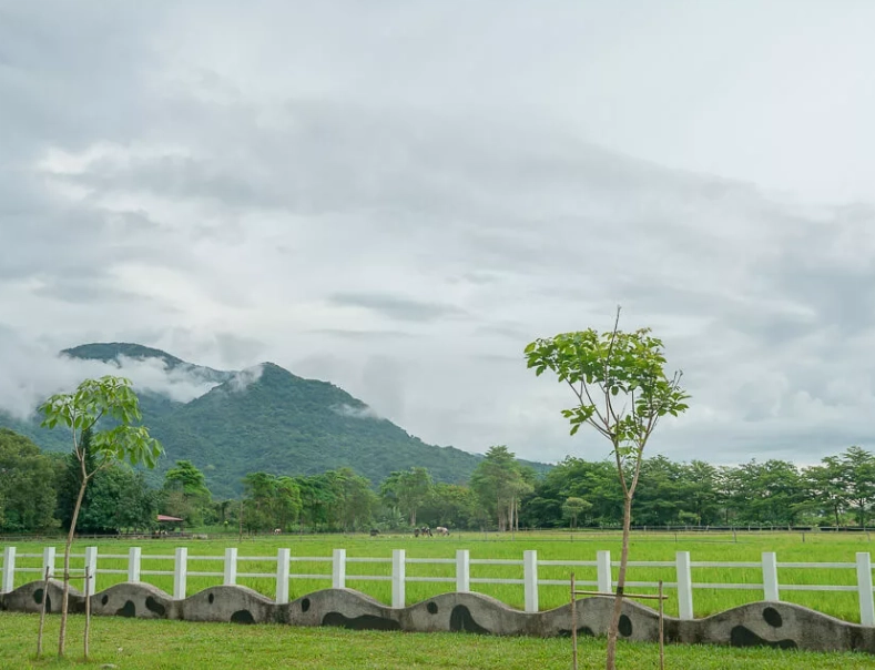 瑞穗牧場旅遊