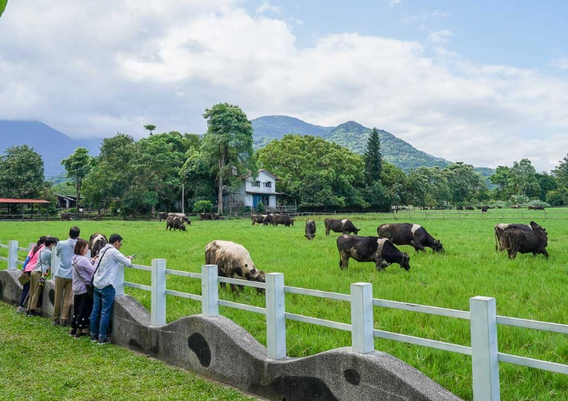 瑞穗牧場旅遊