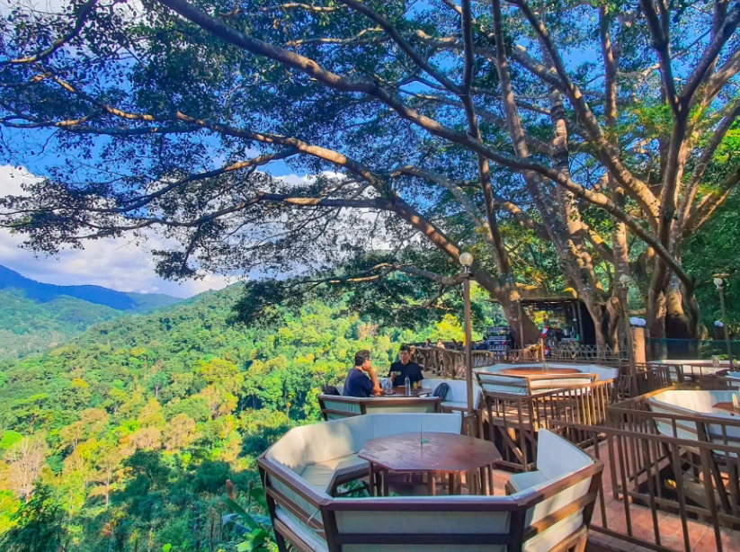 羅東咖啡廳夜景