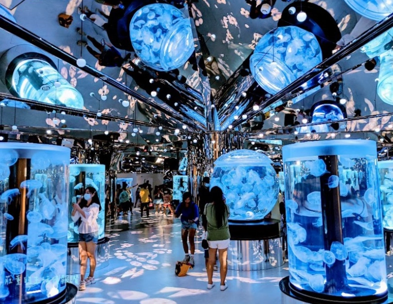 桃園星期一景點