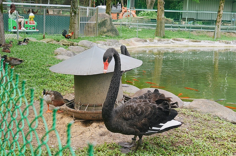 花蓮動物園交通