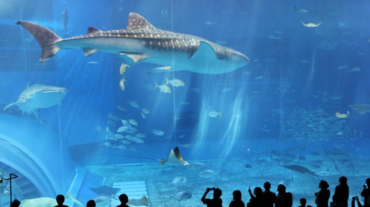 星期一桃園旅遊