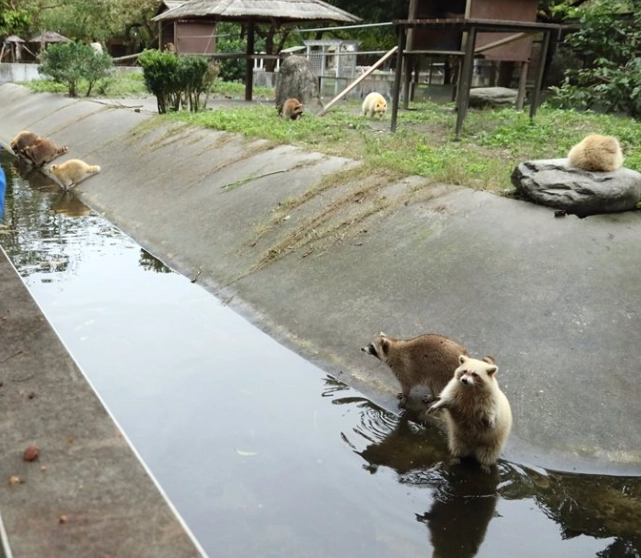 花蓮動物園動物