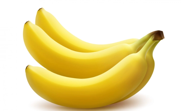 巨嘴鳥飲食習慣